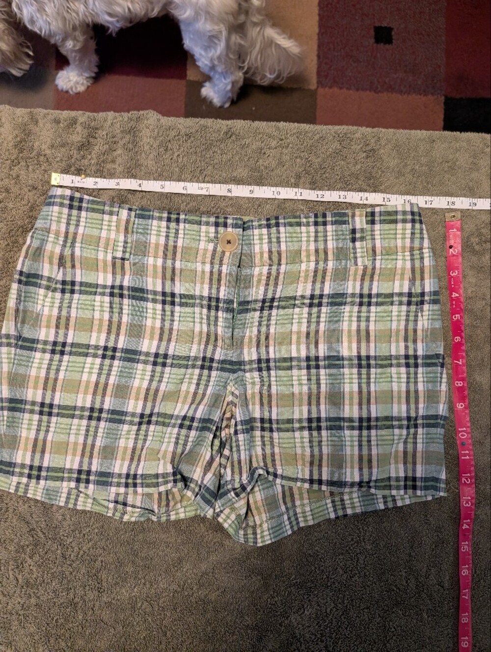 Women's Plaid Cotton Shorts in Green, Navy, Tan